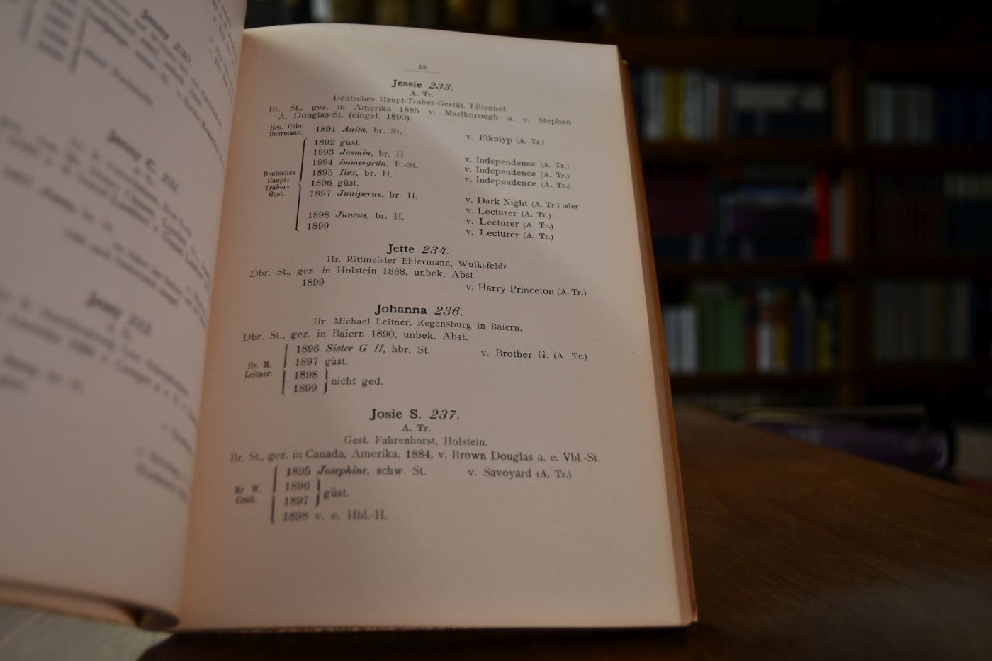 Deutsches Traber-Gestüt-Buch. Band II.