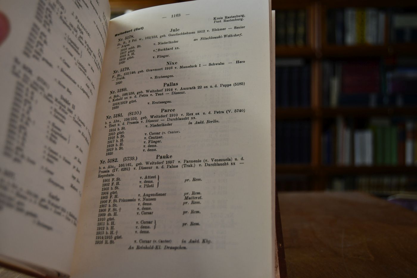 Ostpreussisches Stutbuch für edles Halbblut Trakehner Abstammung 6. Band 2. Teil.