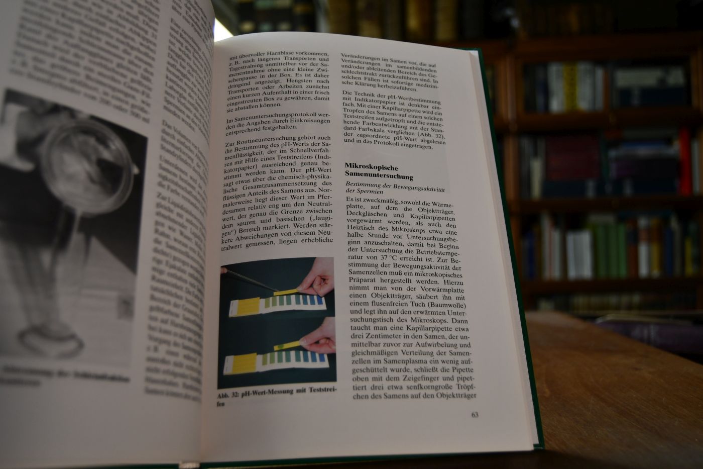 Samenübertragung beim Pferd in Theorie und Praxis.