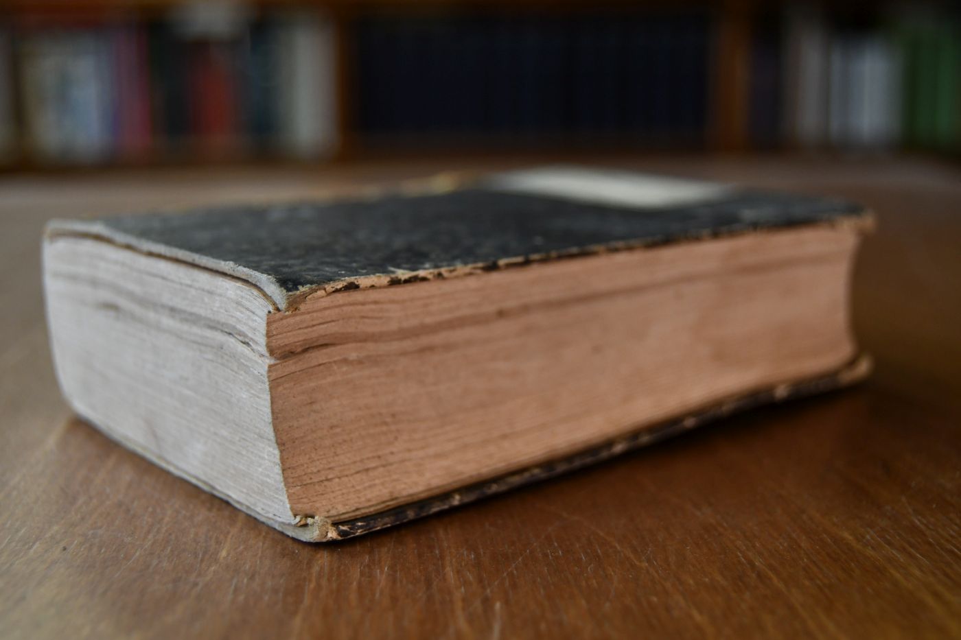 Jahrbuch für Pferdezucht, Pferdekenntniß, Pferdehandel, die militärische Campagne-, Schul- und Kunstreiterei und die Roßarzneikunst in Deutschland und den angrenzenden Ländern auf das Jahr 1834, 10. Jahrgang.