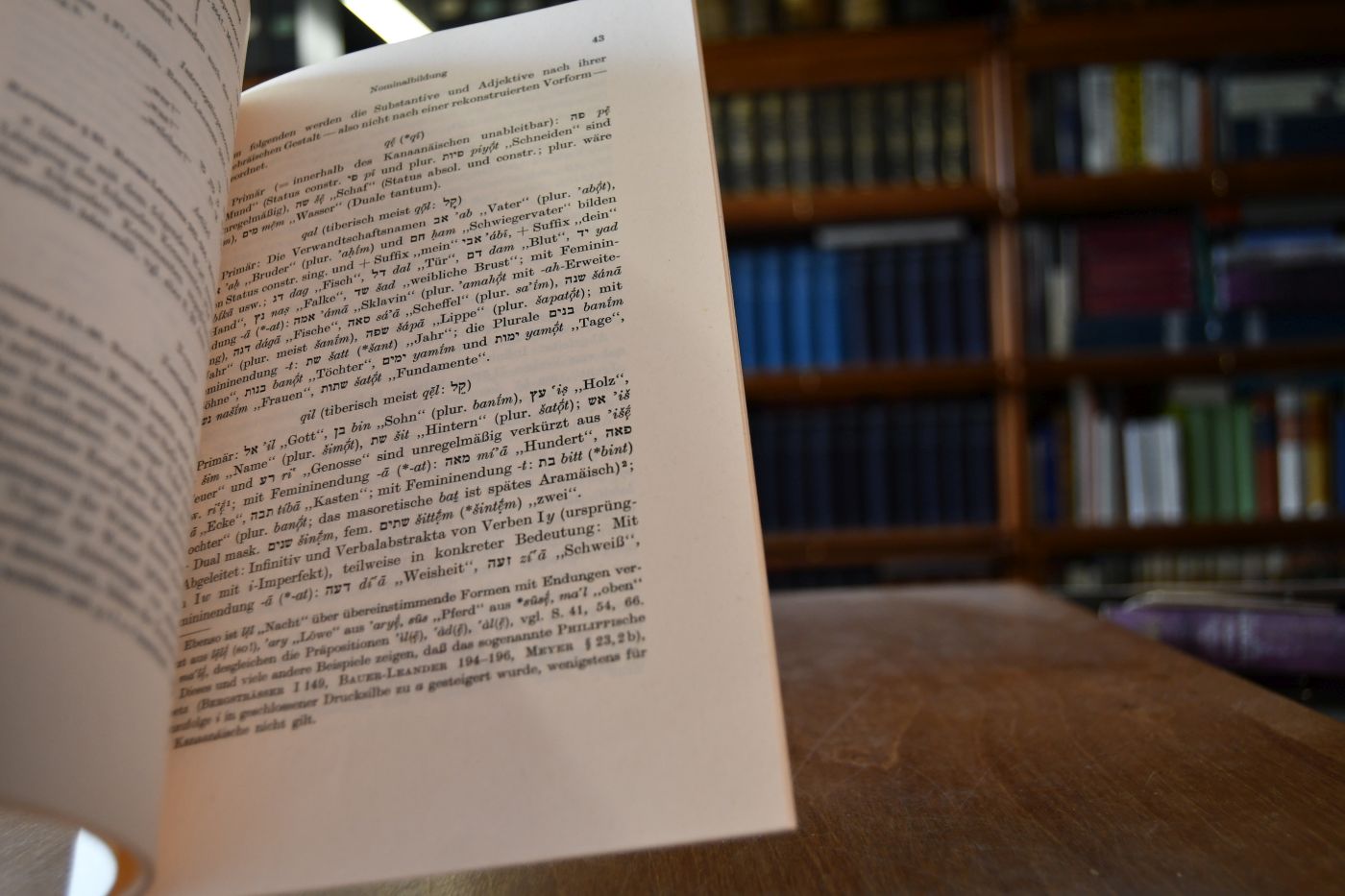 Althebräische Grammatik.