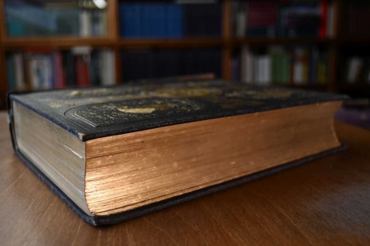 Die Bibel oder die ganze Heilige Schrift des Alten und Neuen Testaments, nach der Übersetzung Martin Luthers.