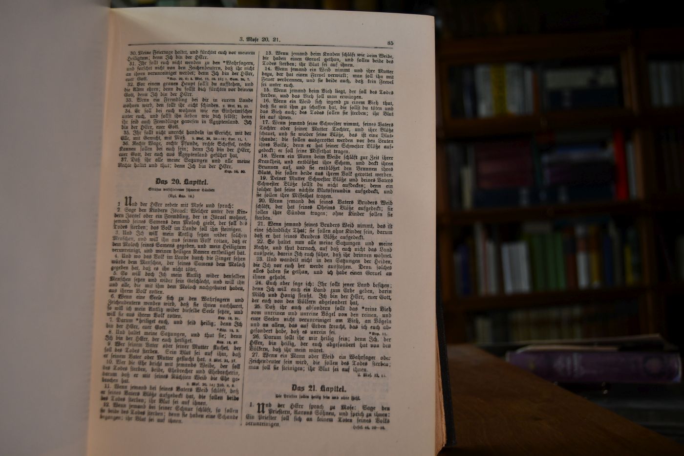 Die Bibel oder die ganze Heilige Schrift des Alten und Neuen Testaments, nach der Übersetzung Martin Luthers.