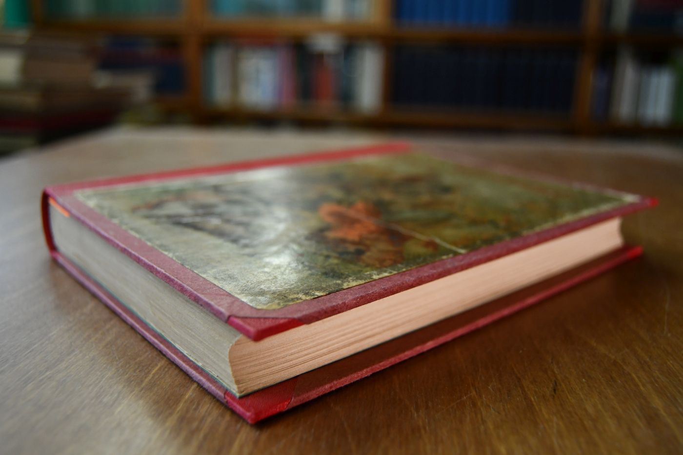 Der Waldläufer. Für die reifere Jugend bearbeitet von Oskar Höcker.
