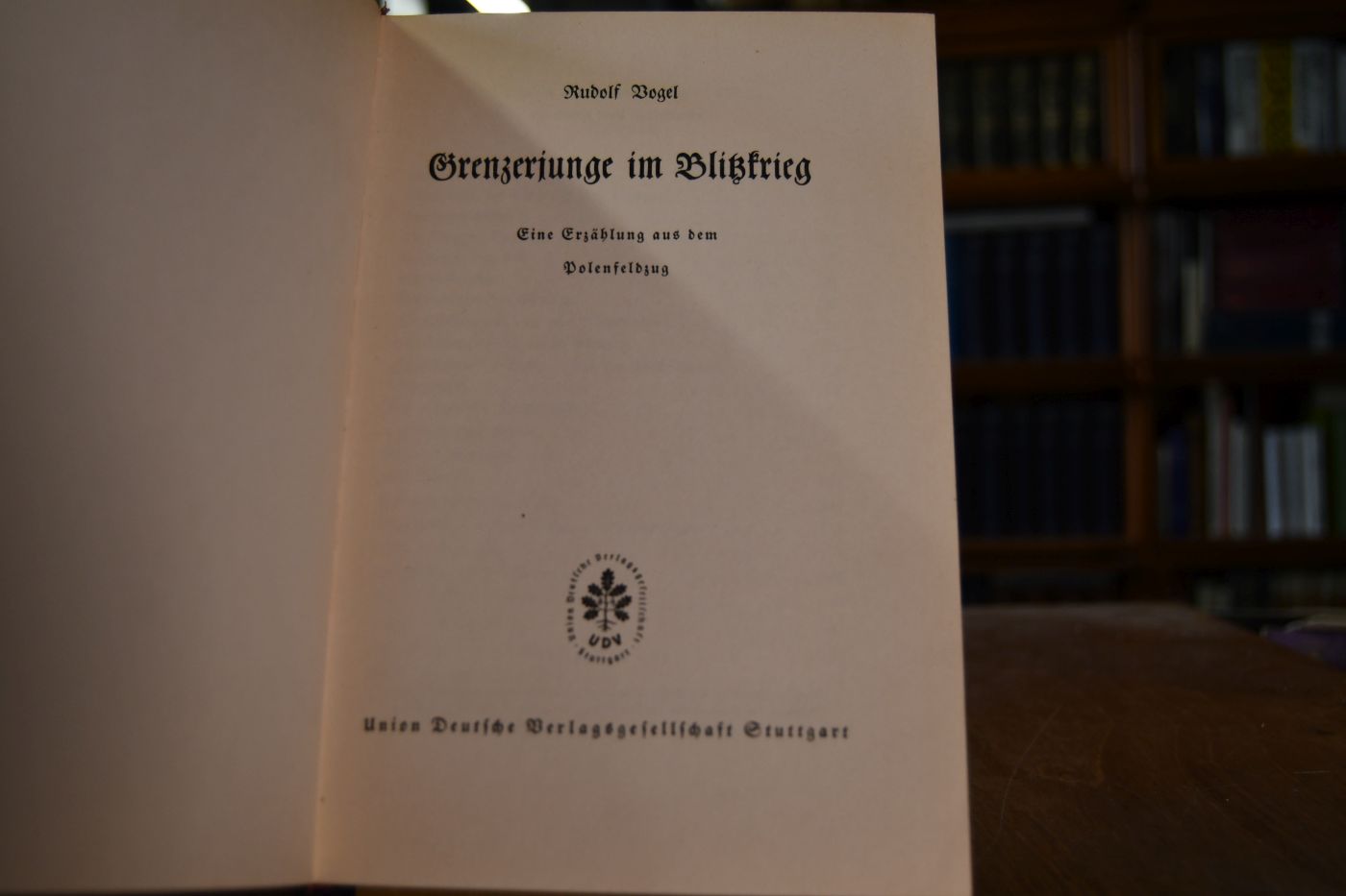 Grenzerjunge im Blitzkrieg. Eine Erzählung aus dem Polenfeldzug.