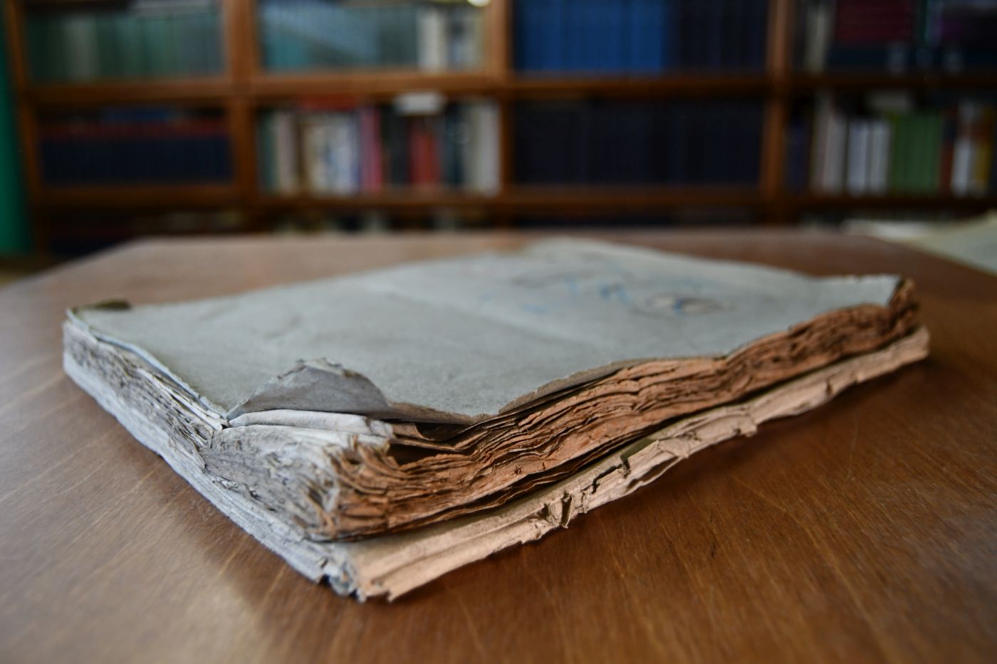 Denkbuch für Fürst und Vaterland. Erster Band (von 2) apart.